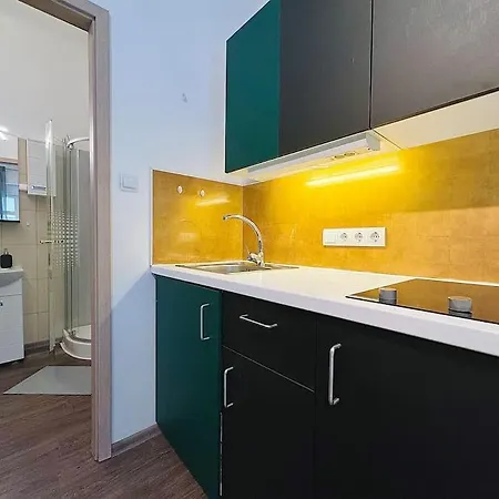 Raday 2 Apartament *