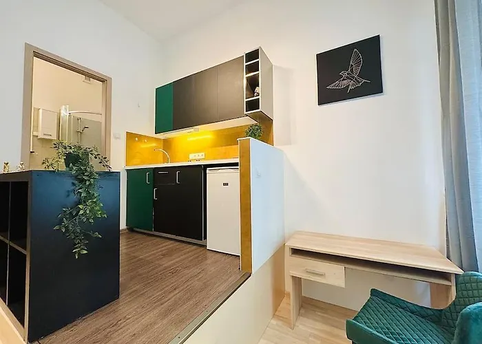 Apartment Raday 2
